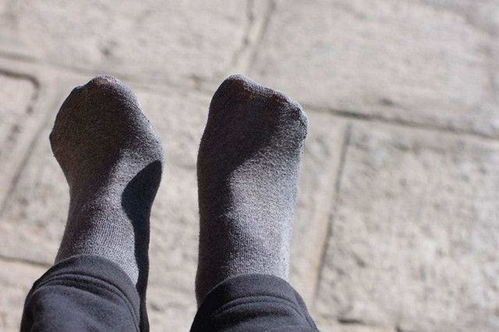 關(guān)于蚊子的5個冷知識,臭襪子居然會讓其失去理智