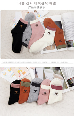 貓咪相伴，溫暖四季——女士中筒棉襪帶來的舒適體驗